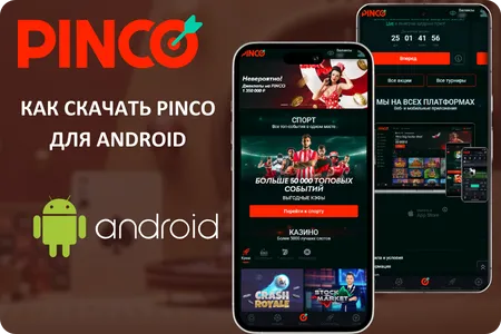 Pinco apk