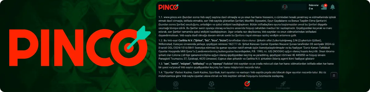 Pinco qanuni fəaliyyət icazəsi və məlumat qorunması